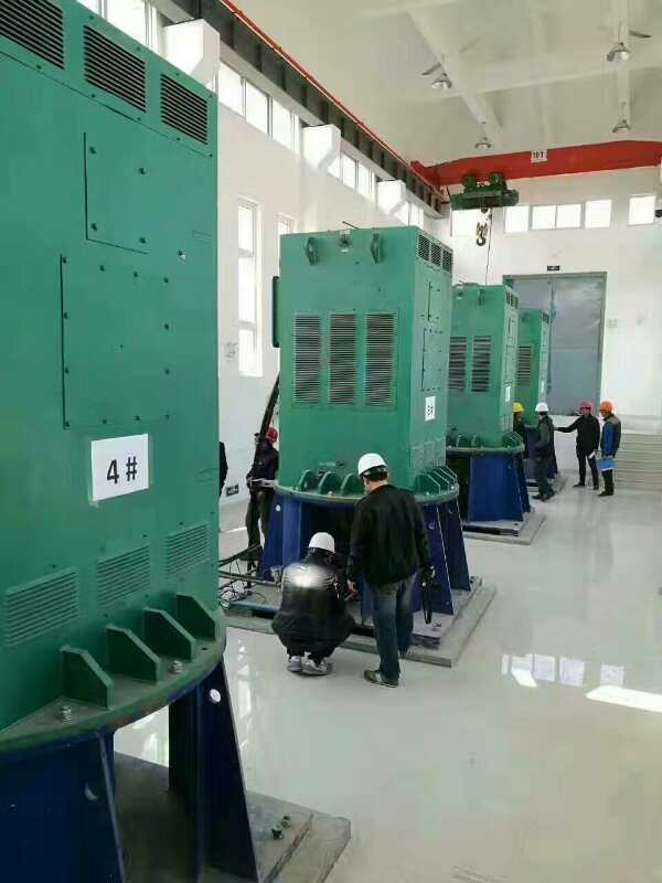 Y450-4某污水处理厂使用我厂的立式高压电机安装现场