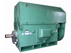 Y450-4Y系列6KV高压电机